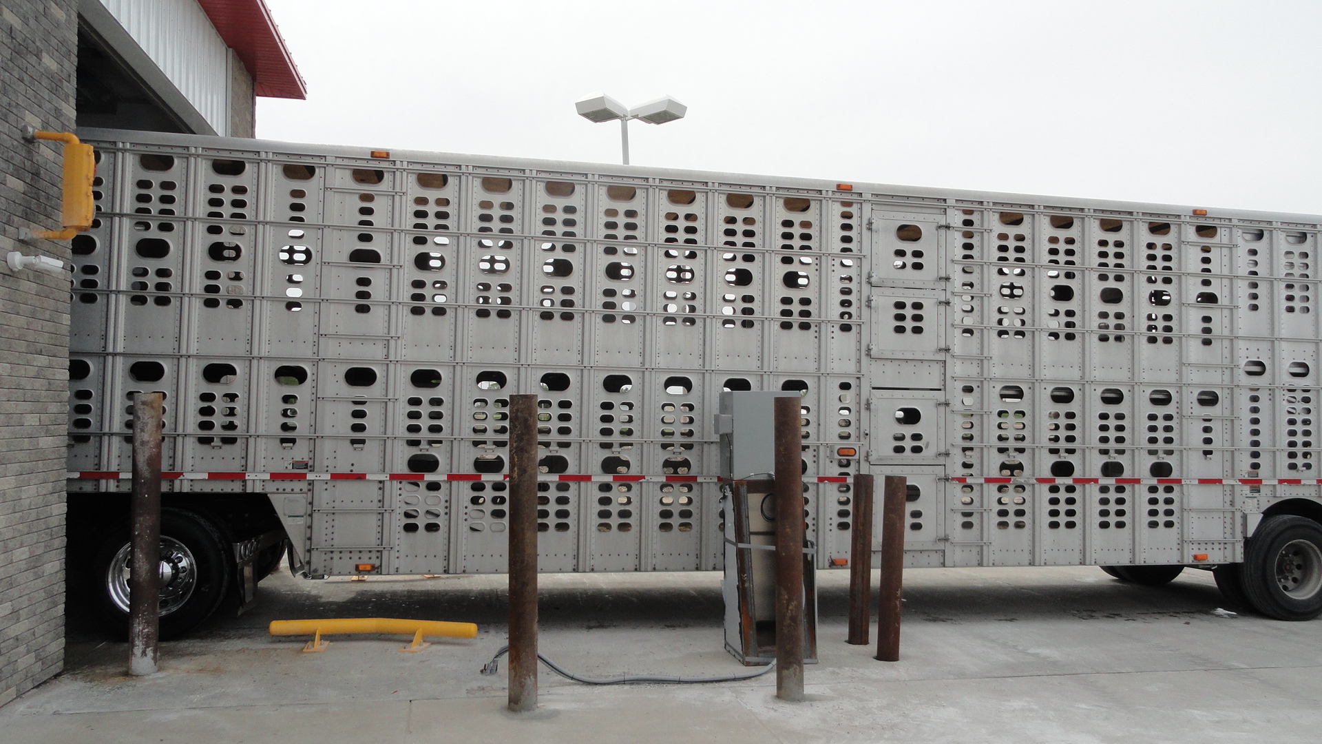 livestock truck entering automated truck wash